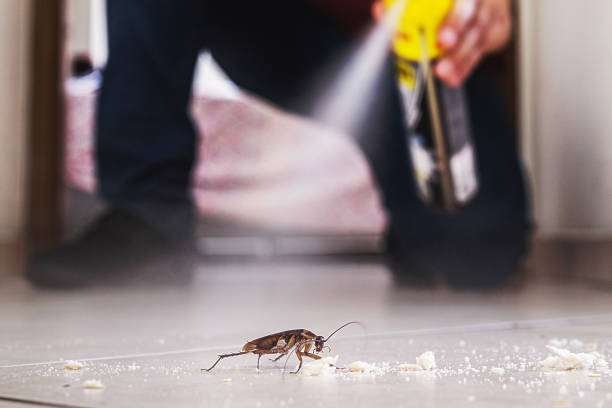 Best Exterminator Services  in Denver, IA